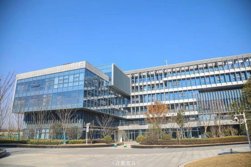 安徽資城,創(chuàng)業(yè)者的夢(mèng)想孵化器
